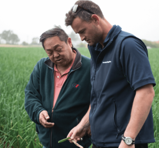 Owner on Desloe Farm