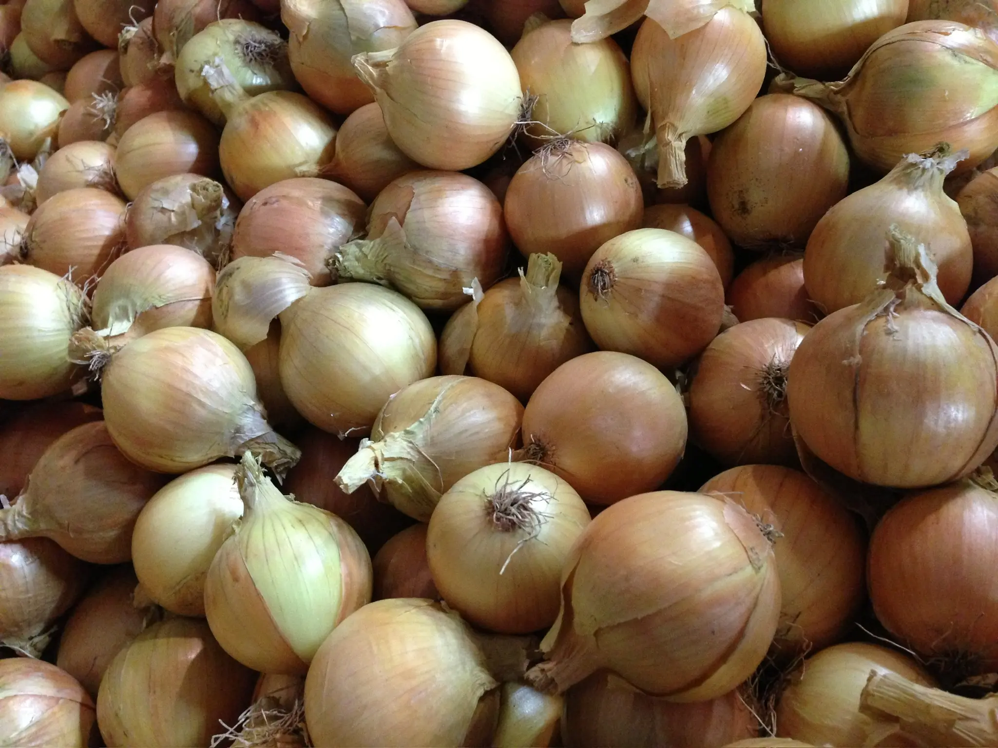 Brown Onion Product