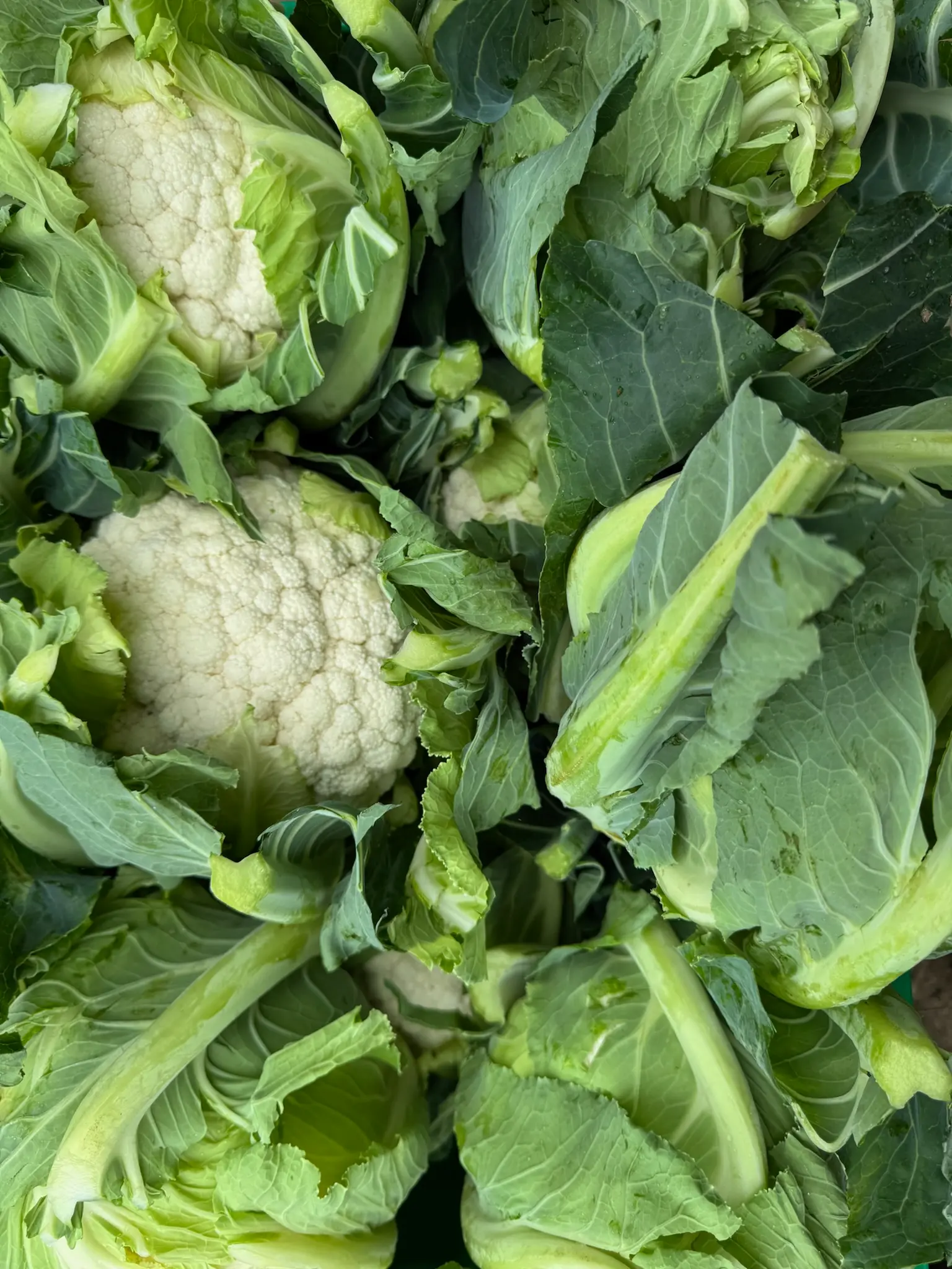 Cauliflower Product